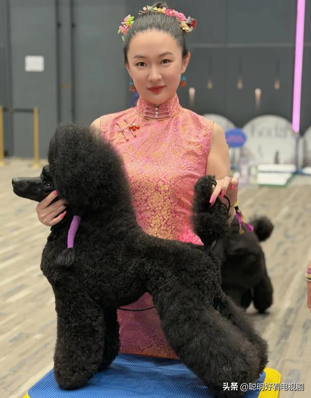 霍思燕到底多有钱 养的狗刚拿冠军鸟又拿冠军 霍思燕养犬拿奖的真相