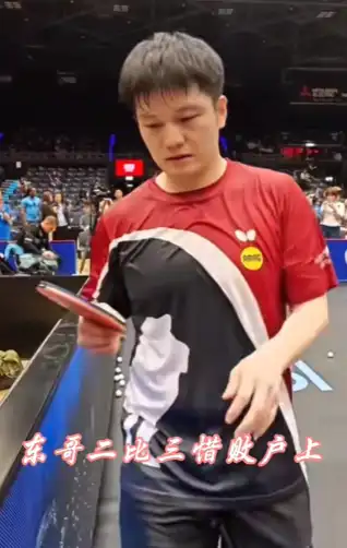樊振东输球无缘德国杯八强
