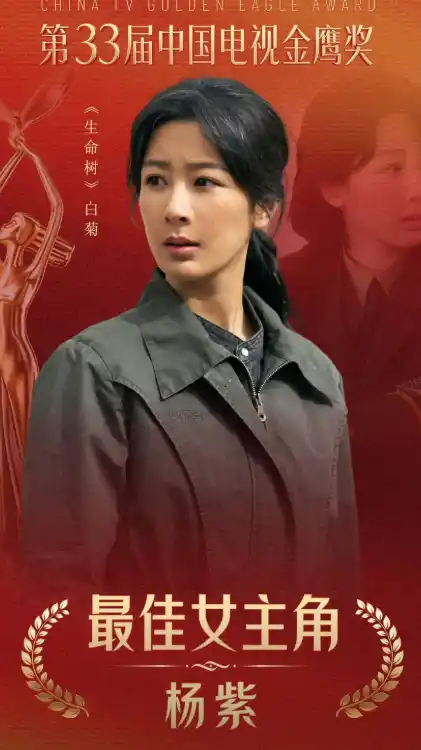 第33届金鹰奖提名