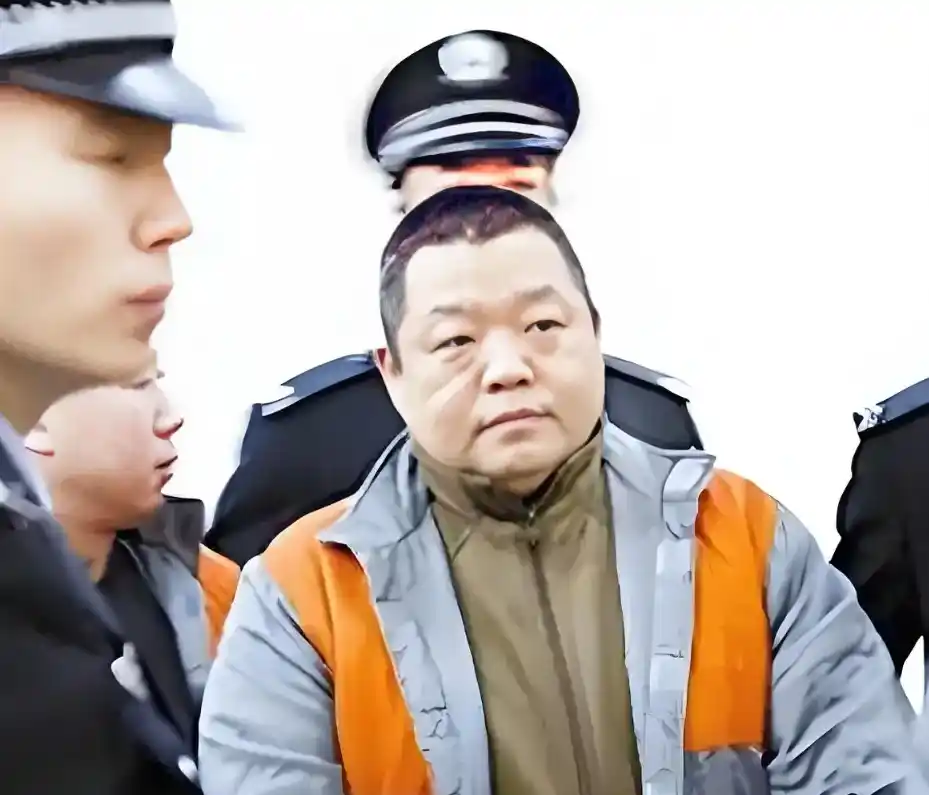 臧天朔用一生的教训留给世人的警示