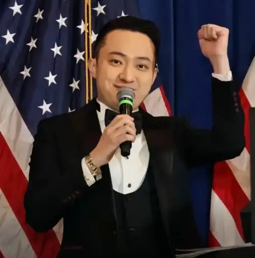 孙宇晨创业初期处境艰难