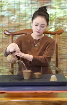 Chen Shi Makes a Comeback with *The Crown Princess*